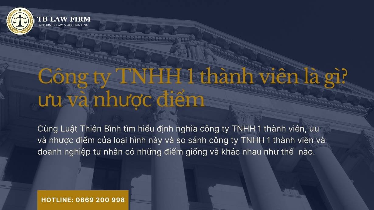 Công ty TNHH 1 thành viên là gì? đặc điểm và ưu nhược điểm 5 Công ty TNHH 1 thành viên là gì? đặc điểm và ưu nhược điểm